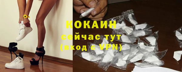 меф Арсеньев