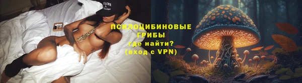 меф Арсеньев